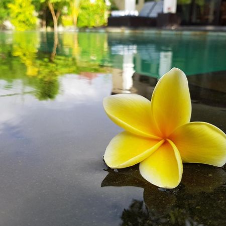 Villa Horizon Nusa Dua Nusa Dua  Zewnętrze zdjęcie