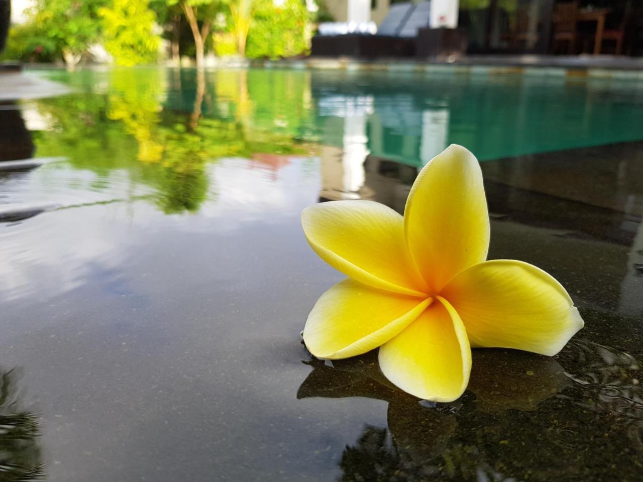 Villa Horizon Nusa Dua Nusa Dua  Zewnętrze zdjęcie